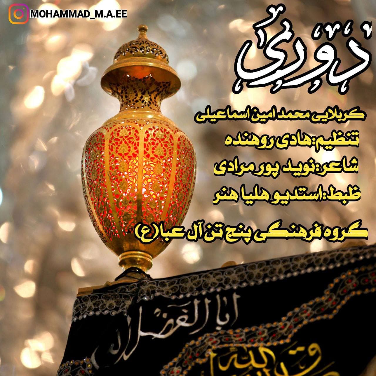 محمدامین اسماعیلی دوری